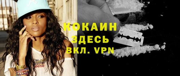 круглые Гусев