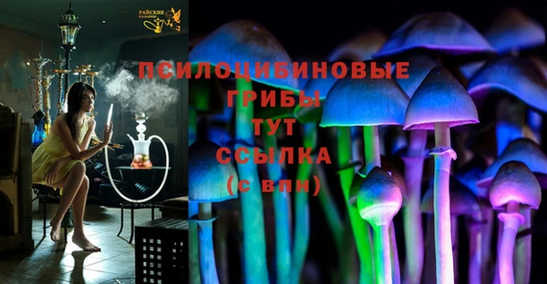a pvp Алзамай